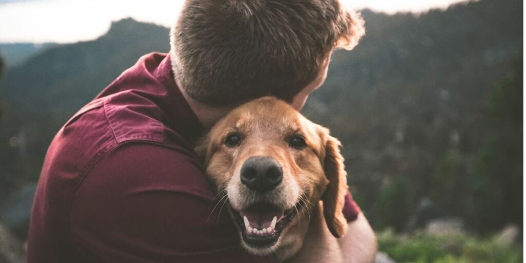 Adottare un cane