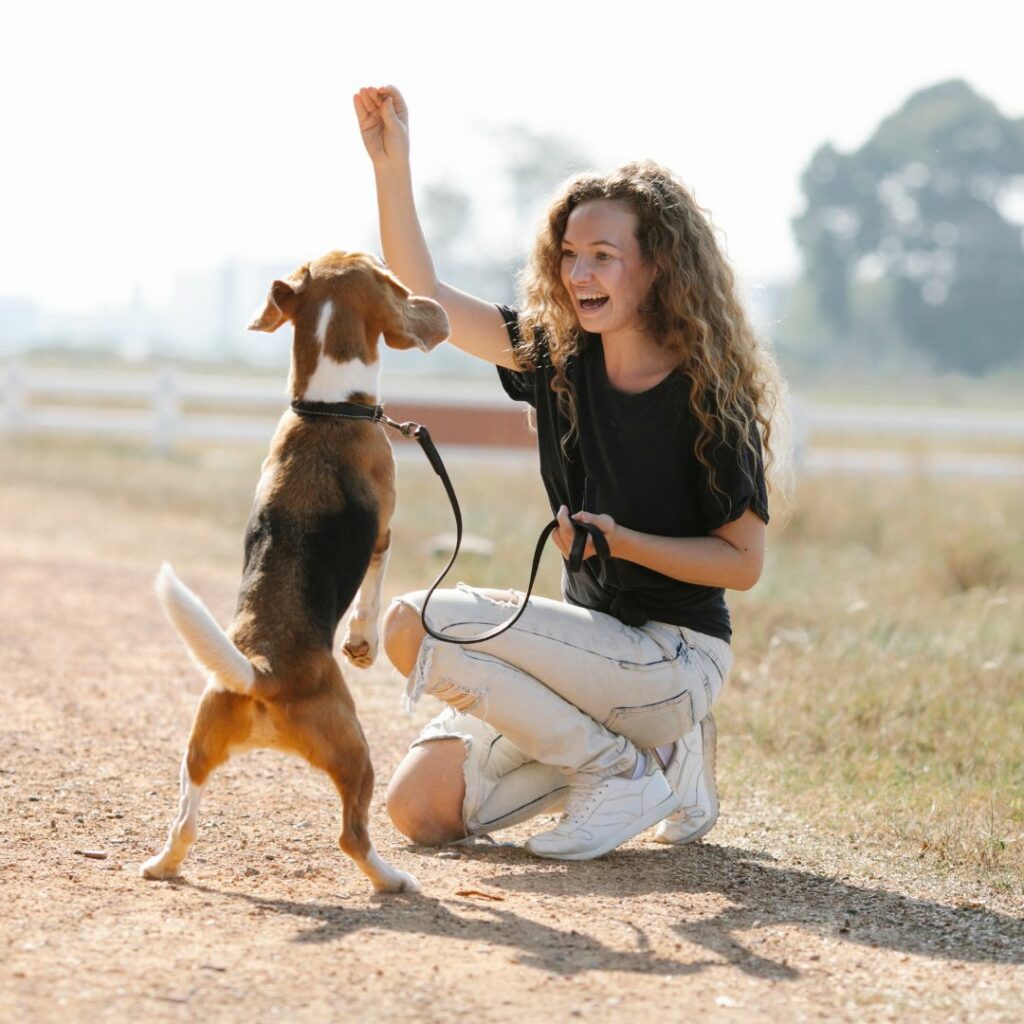 psicologo per cani