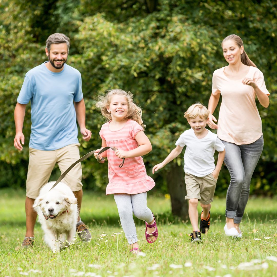 consulenza pre-adozione cane online consulenza pre-adozione cane online