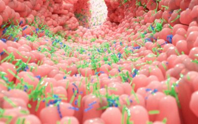 Microbiota del cane, impara come mantenerlo sano