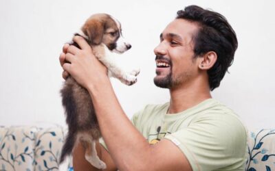 Adottare un cane: guida pratica per non sbagliare