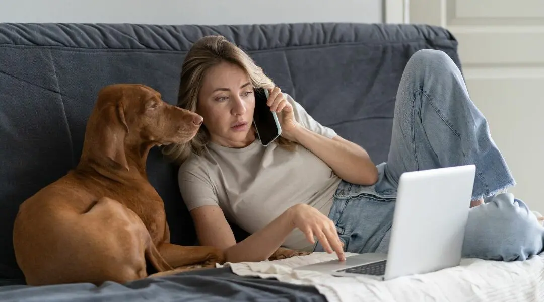 Veterinario online