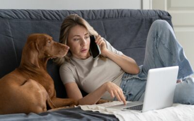 Veterinario online