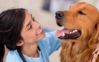 Trattamenti per l’ansia da separazione del cane