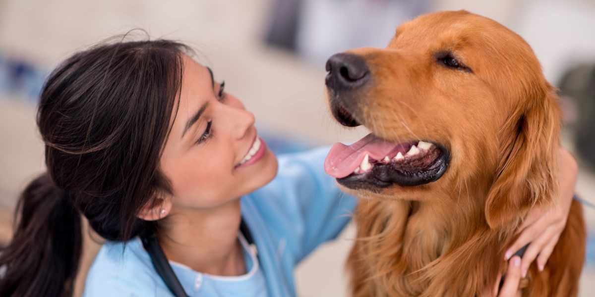 Trattamenti per ansia da separazione del cane