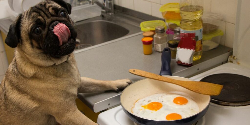 Uovo al cane