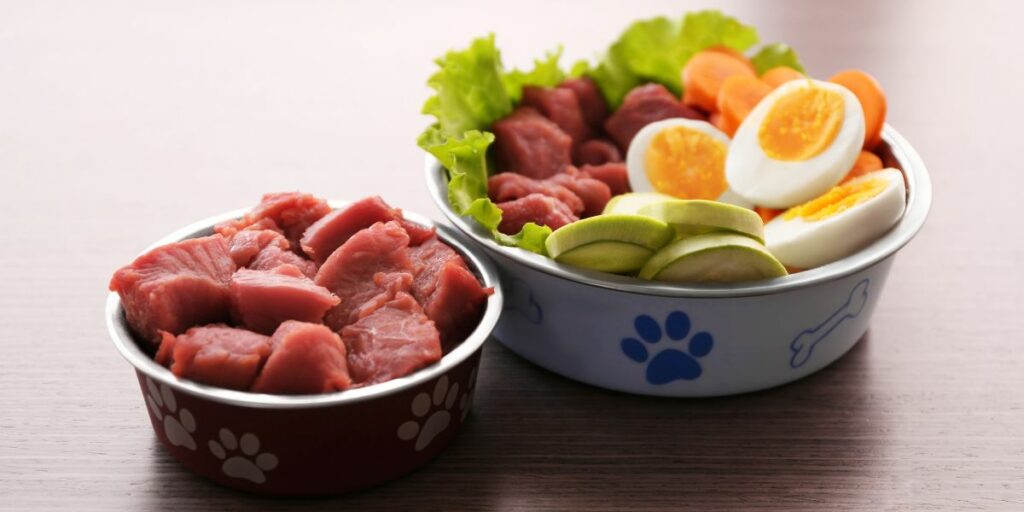 Dieta per cane che si lecca le zampe