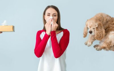 Cani ipoallergenici: una guida per le persone allergiche
