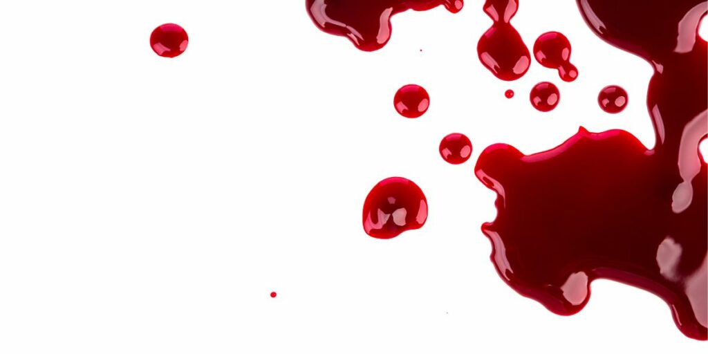 Sangue nelle feci del cane