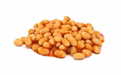 Si possono dare i fagioli ai cani?