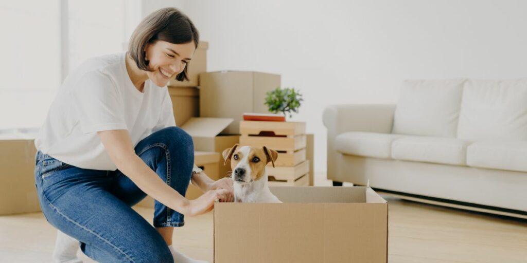 Qual è il miglior cane da appartamento?