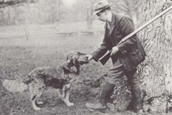 Storia del Golden Retriever
