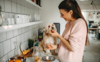 Come capire se sto dando il cibo giusto al mio cane