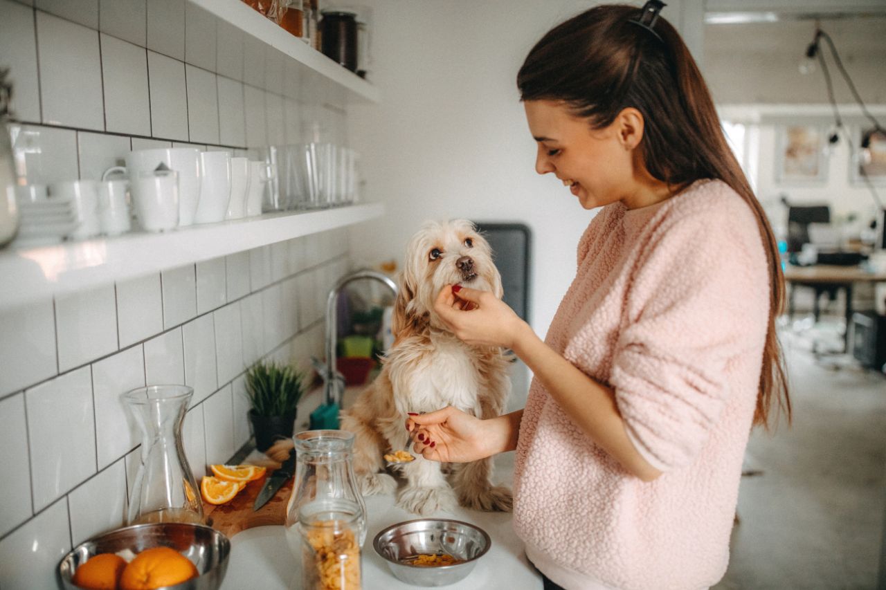 come capire se sto dando il cibo giusto al mio cane come capire se sto dando il cibo giusto al mio cane