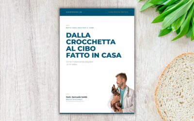 Come passare dalle crocchette alla dieta casalinga
