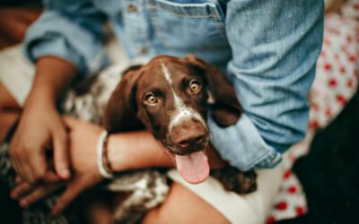 Nomi per cani: idee originali, simpatiche e di tendenza