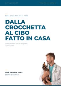 Dalla crocchetta al cibo fatto in casa