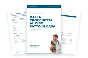 Guida gratuita · PDF